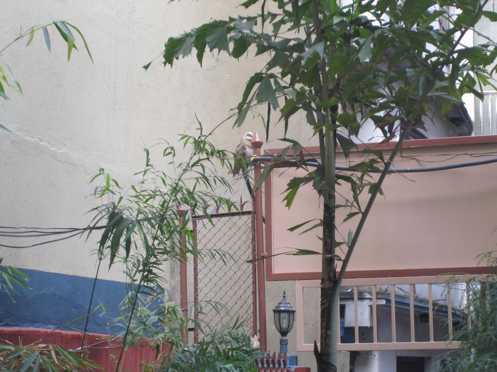 קטמנדו Tasi Dhargey Inn מראה חיצוני תמונה