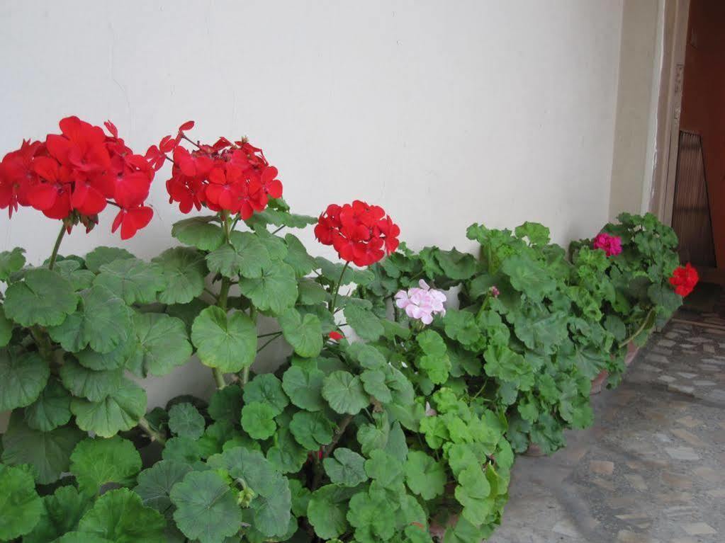קטמנדו Tasi Dhargey Inn מראה חיצוני תמונה